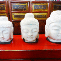 teste budda pietra