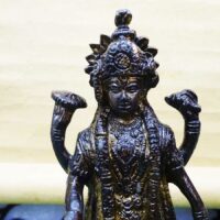 statuina visnu